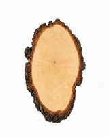 Dekoratives Birkentrophäenschild aus echtem Schweizer Holz mit grober Rinde für Bastelzwecke und Präparate