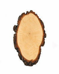 Dekoratives Birkentrophäenschild aus echtem Schweizer Holz mit grober Rinde für Bastelzwecke und Präparate