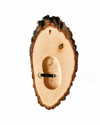 Natürliches Birkenholz Trophäenschild mit echter Baumrinde kaufen bei SWISSskulls für DIY und Jagddekoration mit Kieferfach