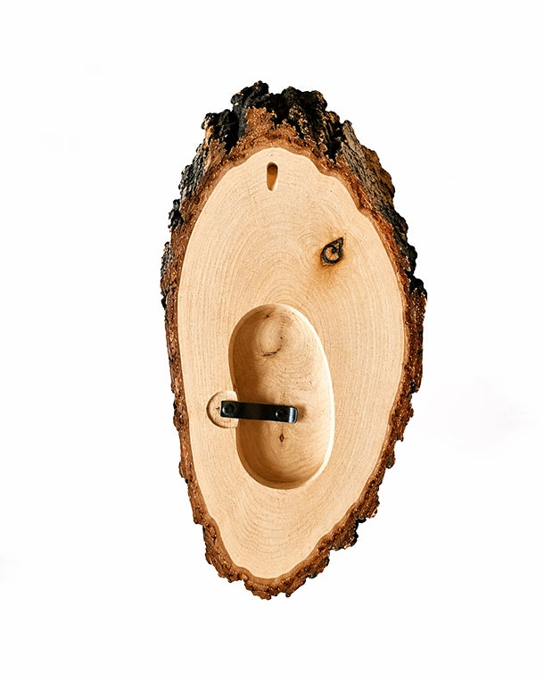 Natürliches Birkenholz Trophäenschild mit echter Baumrinde kaufen bei SWISSskulls für DIY und Jagddekoration mit Kieferfach
