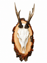Rustikales Trophäenschild aus Birke mit grober Borke für Rehgehörn, perfekte grösse für  Rehboöcke und Gmas