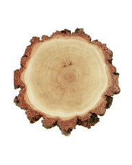 birch trophy shield round wood