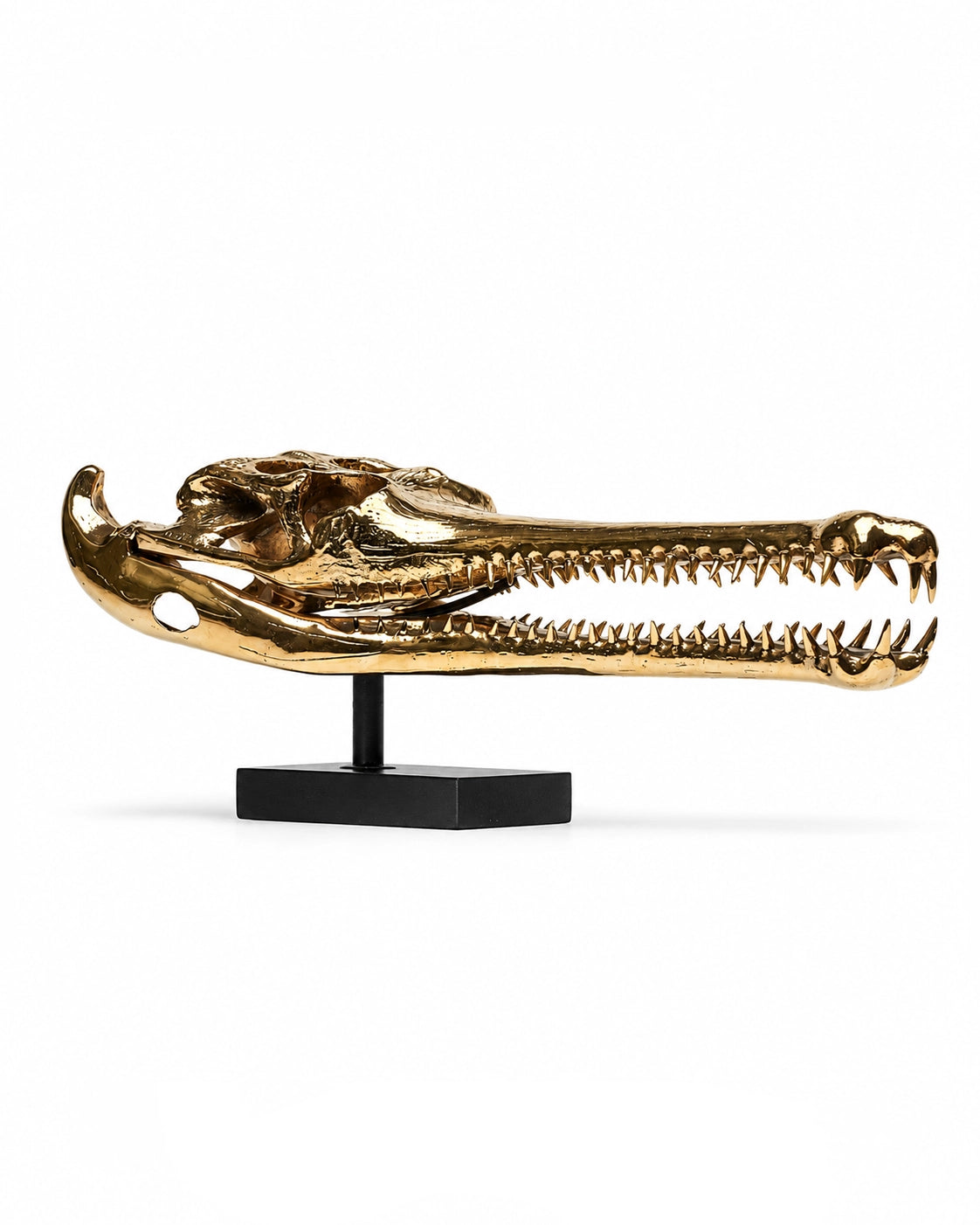 Bronzeskulptur eines Gangesgavial-Schädels auf schwarzem Sockel, schräge Seitenansicht