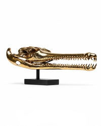 Bronzeskulptur eines Gangesgavial-Schädels auf schwarzem Sockel, schräge Seitenansicht
