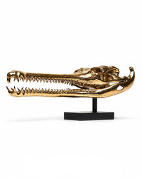Gangesgavial-Schädel aus Bronze, gegenüberliegende Seitenansicht mit geöffnetem Maul