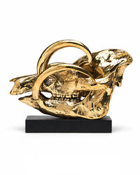 Babirusa-Schädel aus polierter Bronze auf schwarzem Sockel, Seitenansicht mit geschwungenen Hauern