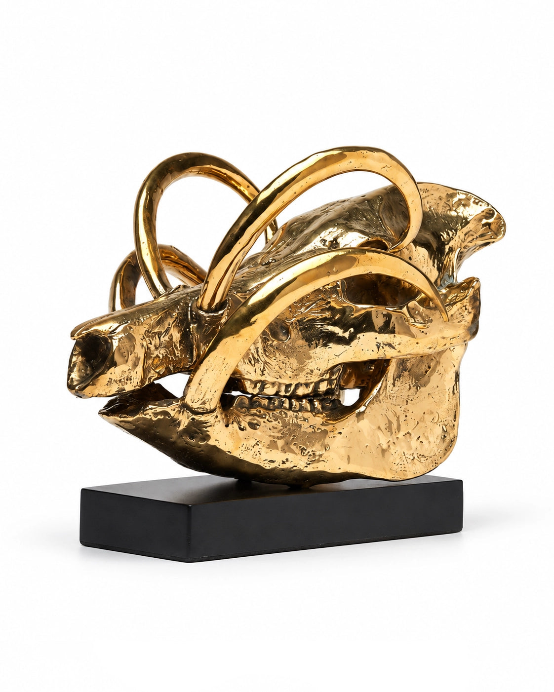 Babirusa-Schädel aus Bronze, gegenüberliegende Seitenansicht mit markanten Hauern