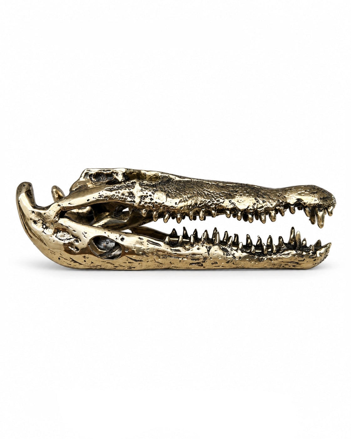 Krokodilschädel-Skulptur in Bronzeoptik, gegenüberliegende Seitenansicht mit sichtbaren Zähnen