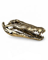 Krokodilschädel-Skulptur in Bronzeoptik, schräge Seitenansicht auf weissem Hintergrund