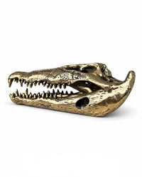 Salzwasserkrokodil-Schädel aus Bronze, schräge Ansicht von oben mit geöffnetem Maul