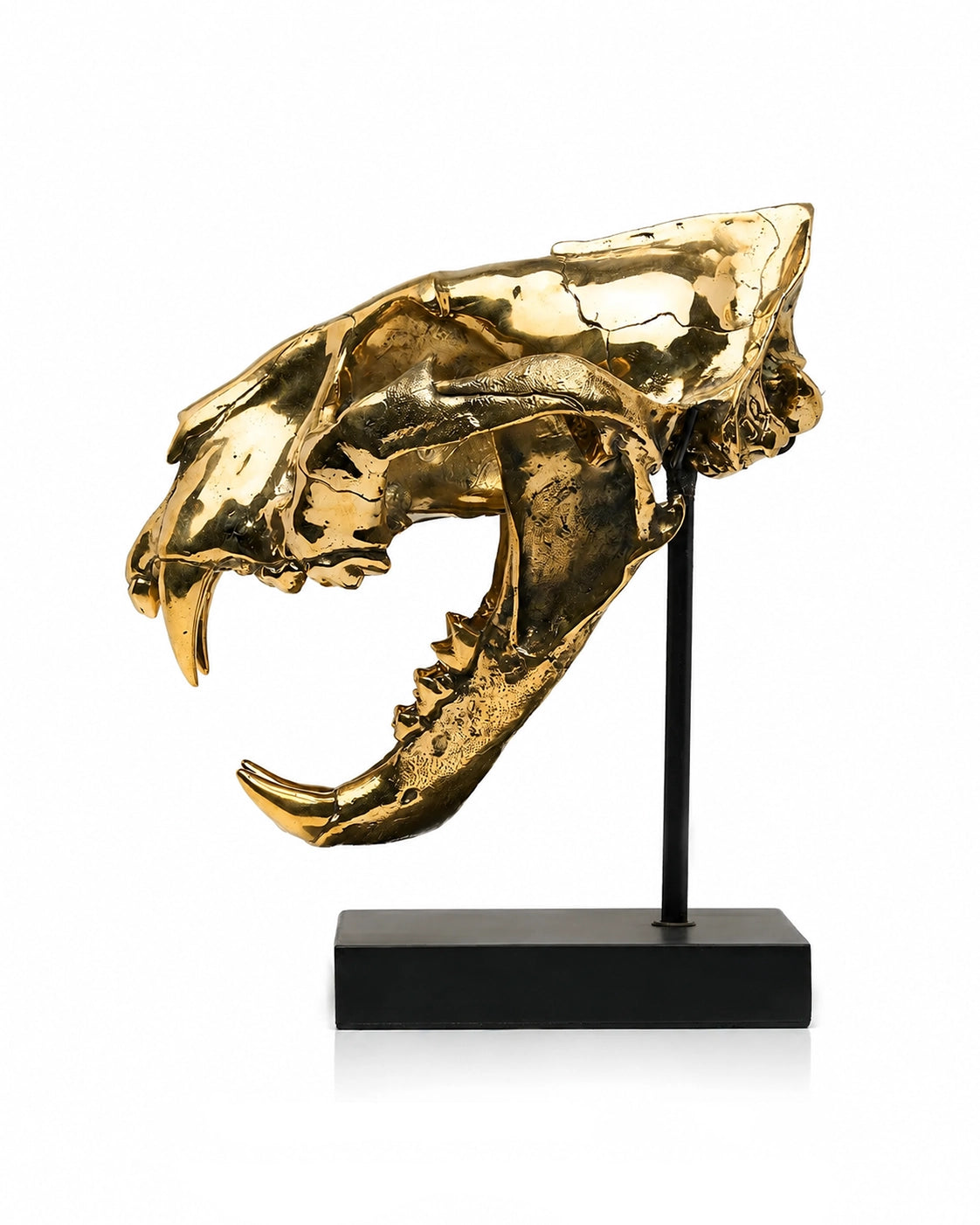 Deko Tiger Schädel Bronze