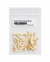 Echte Kaninchenzähne