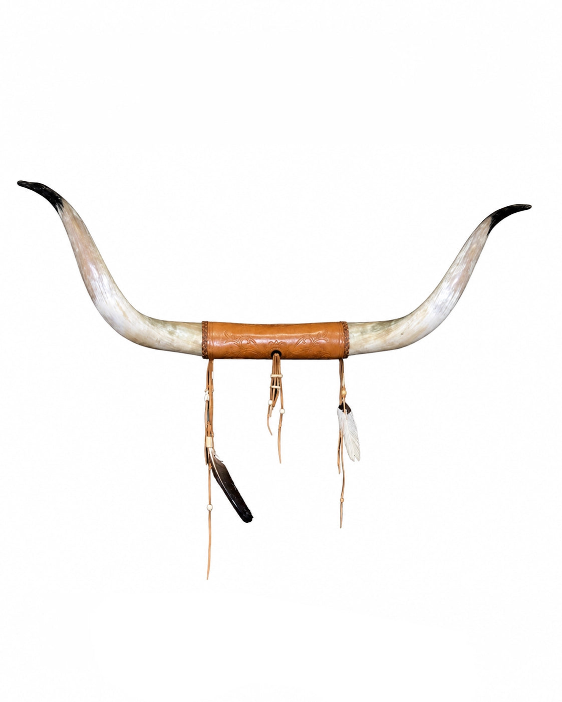 Echte montierte Texas-Longhorn-Hörner als dekorativer Wandschmuck