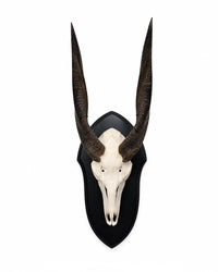 Real Nyala Trophy