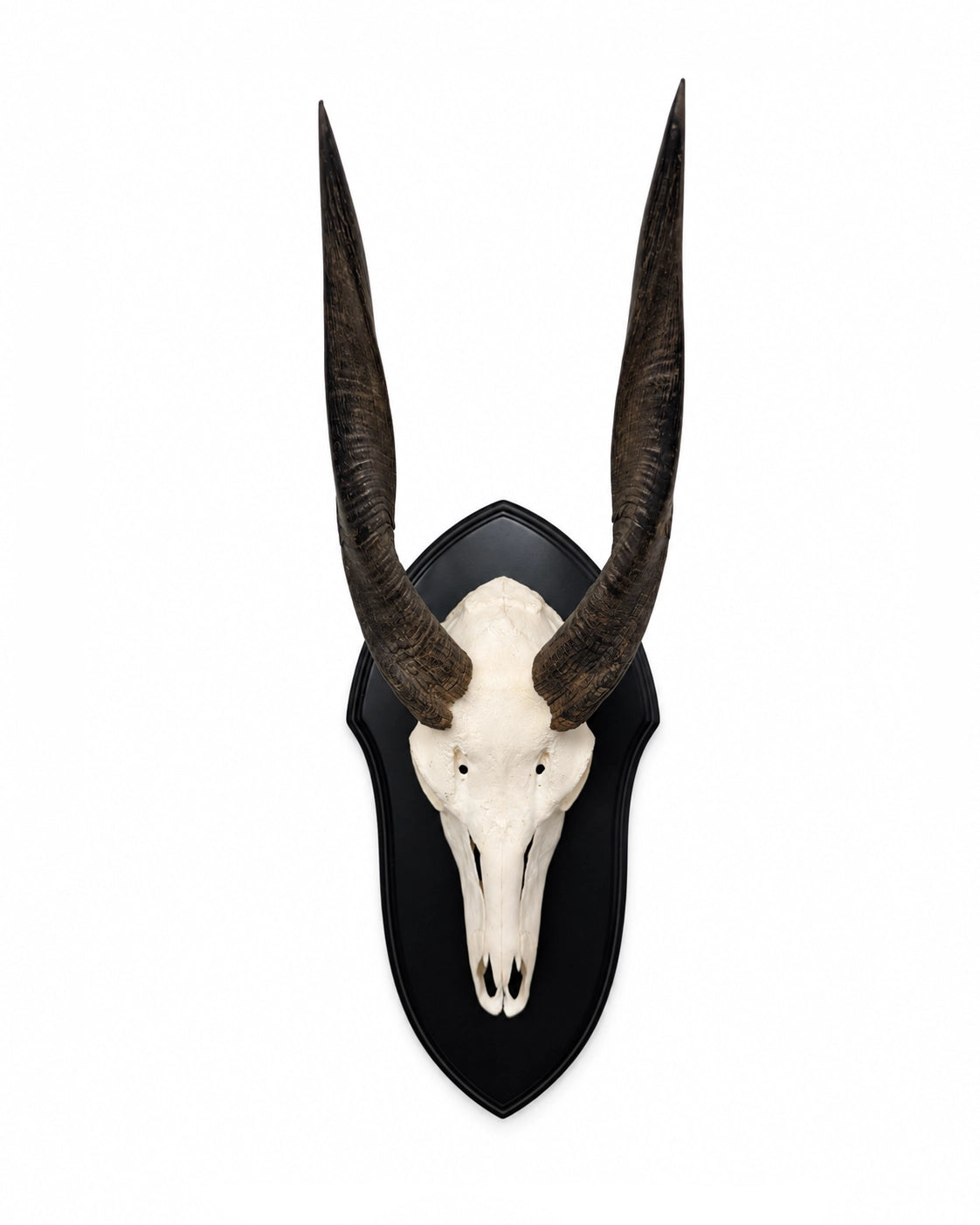 Real Nyala Trophy