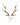 Real Sika Deer Skull