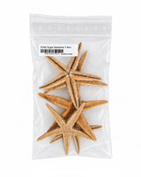 Echte Sugar Seesterne 7–9 cm