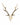 Real Sika Deer Skull