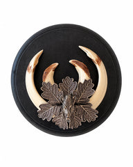 Real tusker boar trophy
