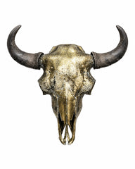 Echter Bison Schädel