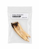 Real Horse Tooth