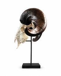 Schafbock Schädel mit detailreicher Schnitzerei als Skull Art