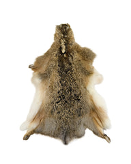 Echtes Feldhasenfell vom europäischen Feldhasen (Lepus europaeus) mit natürlicher braun-grauer Fellstruktur