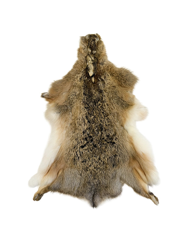 Echtes Feldhasenfell vom europäischen Feldhasen (Lepus europaeus) mit natürlicher braun-grauer Fellstruktur