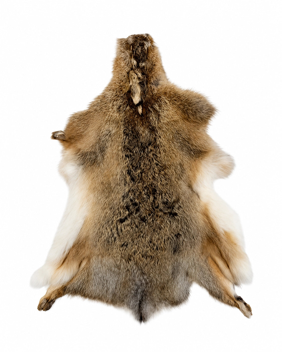 Echtes Feldhasenfell mit natürlicher brauner Fellzeichnung als hochwertiges Naturfell für Dekoration, Handwerk und kreative Projekte