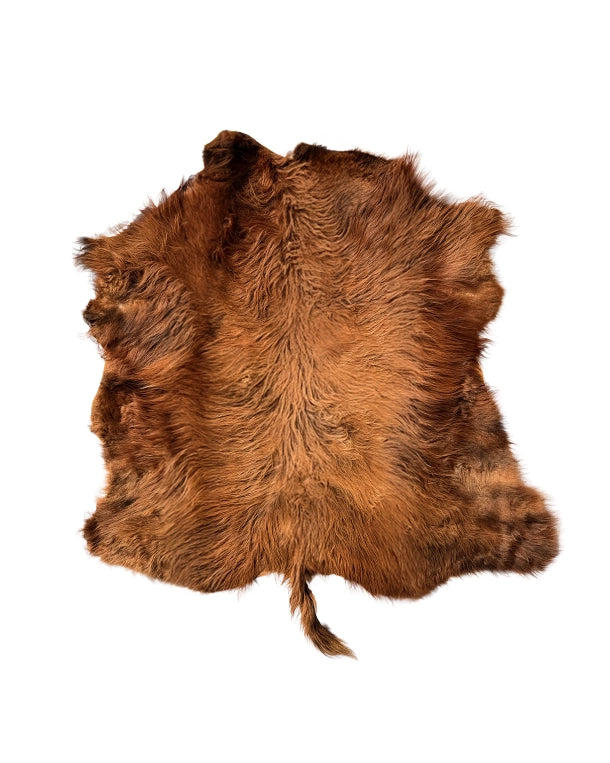 Véritable peau de bétail des Highlands