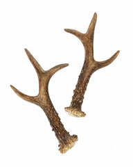 Rehbock Gehörn Paar aus echtem Naturmaterial für Basteln, Schnitzen und Dekorieren