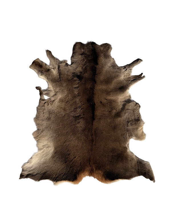 Véritable peau de cerf élaphe 