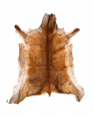 Véritable peau de cerf élaphe