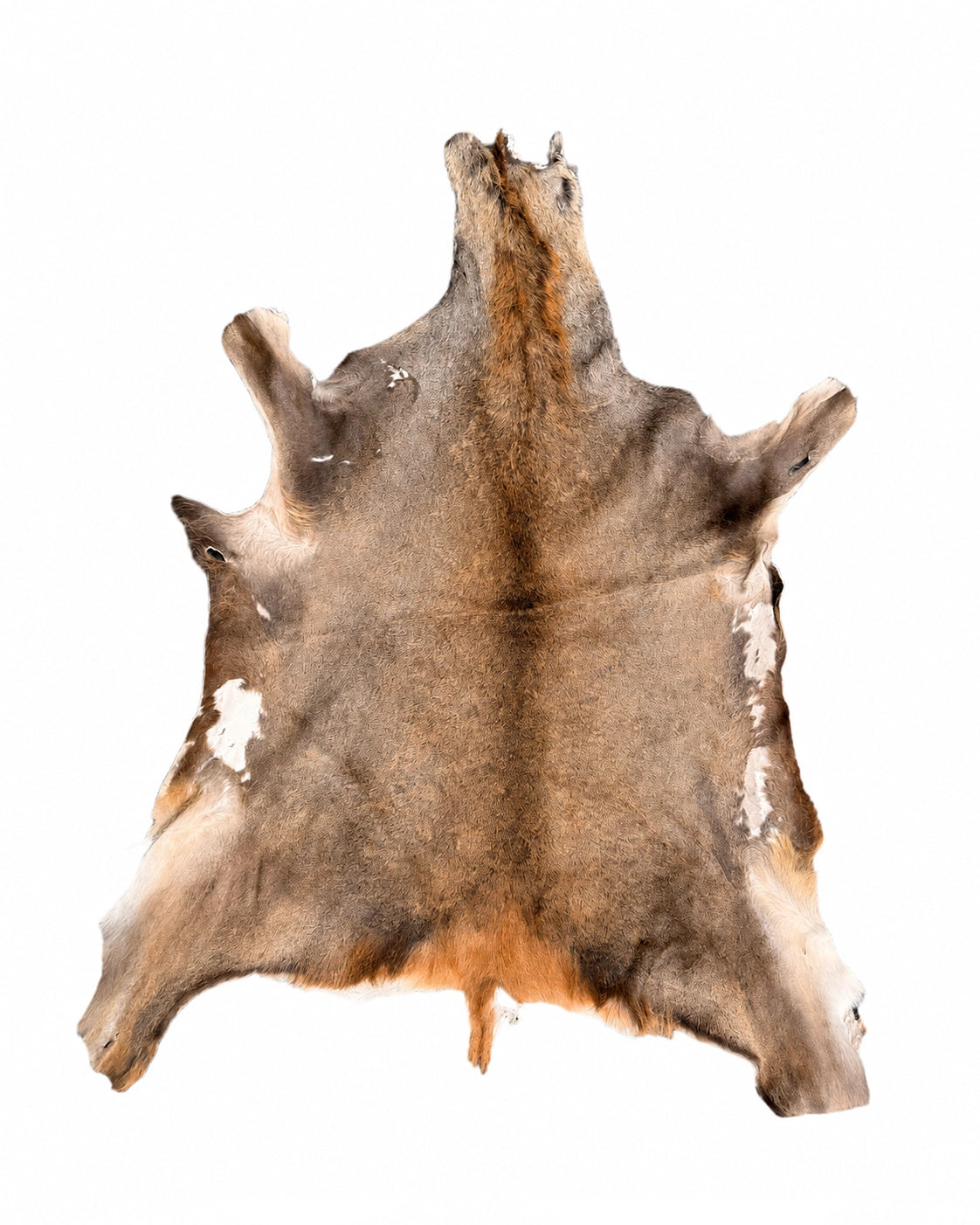 Véritable peau de cerf élaphe