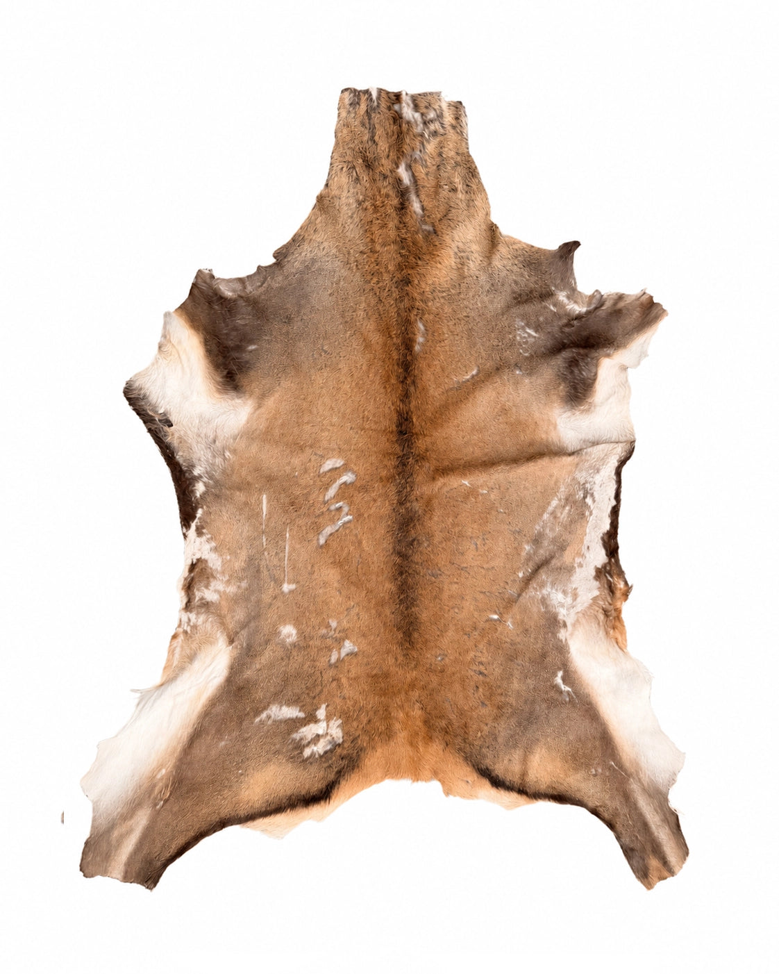 Véritable peau de cerf élaphe