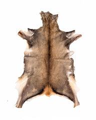 Véritable peau de cerf élaphe