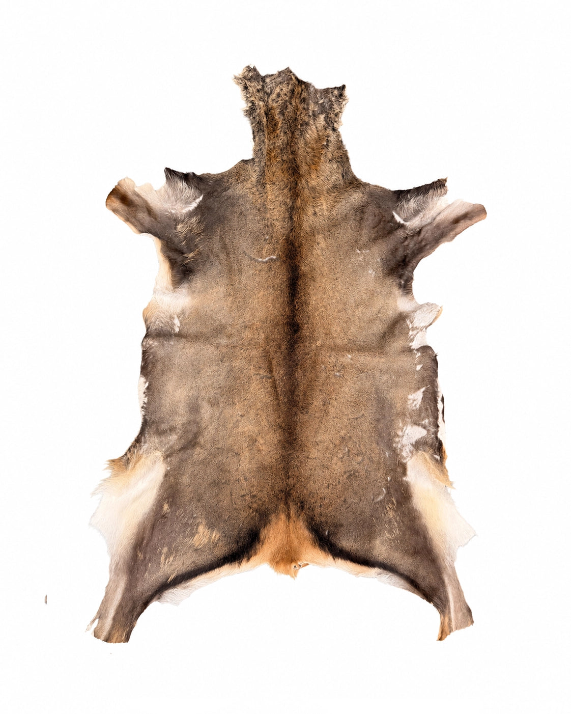 Véritable peau de cerf élaphe