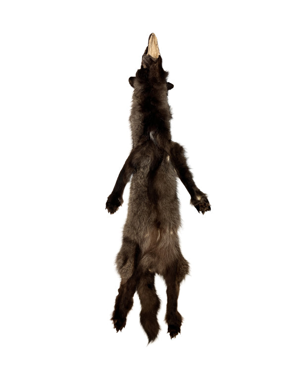 Real Black Wolf Fur Round