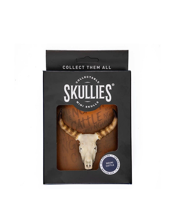 SKULLIES Miniatur Nguni Schädel