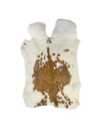 Echtes braunes Schweizer Scheckenkaninchenfell mit hellbraunen Punkten vom Hauskaninchen (Oryctolagus cuniculus)