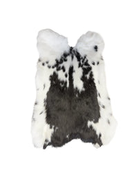 Schwarzes Schweizer Scheckenkaninchenfell vom Hauskaninchen (Oryctolagus cuniculus) mit natürlicher Fellstruktur