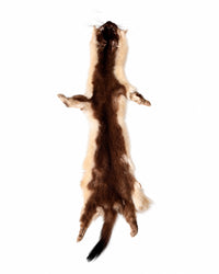 Echtes Wieselfell