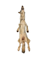 Echtes  Wolfsfell Rund 