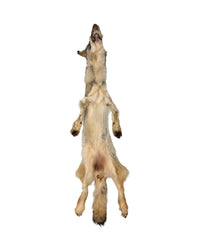 Echtes  Wolfsfell Rund 
