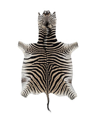 Echtes Zebrafell