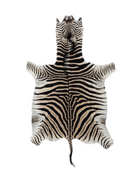 Echtes Zebrafell