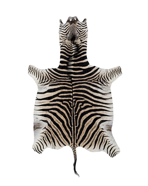 Echtes Zebrafell