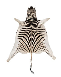 Echtes Zebrafell