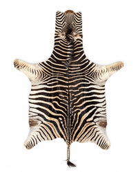 Echte zebraprint
