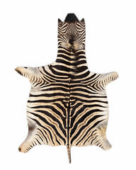 Echtes Zebrafell
